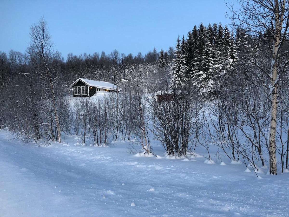 Modernized Standalone Sorreisa - * Bardufoss